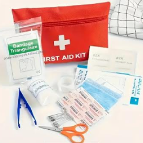 First Aid Kit -  Essential